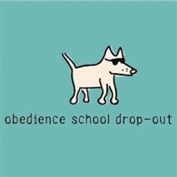 Puppy Kisses “Obedience School Drop Out” Ladies V Neck T-Shirt - Picture 2 of 8